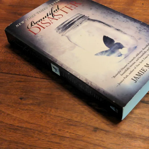 Beautiful Disaster Book - Picture 4 of 8